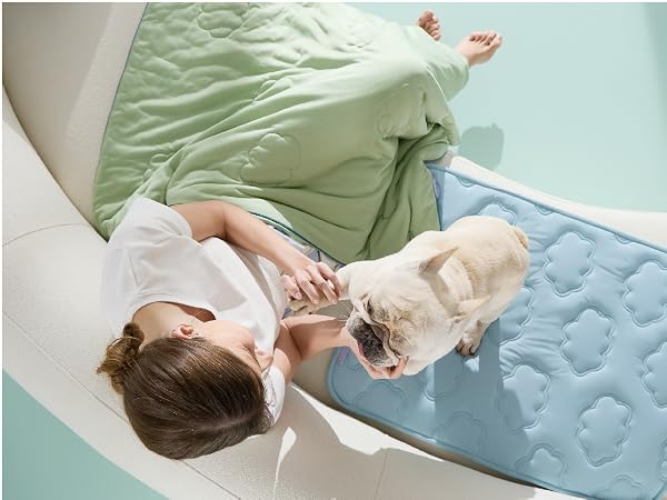 Play without heat with Lesure Cooling Dog Bed