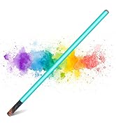 Portable LED Video Light Mood1 Photography Light Stick,Dimmable & Memory,Built-in 2000mAh Battery...