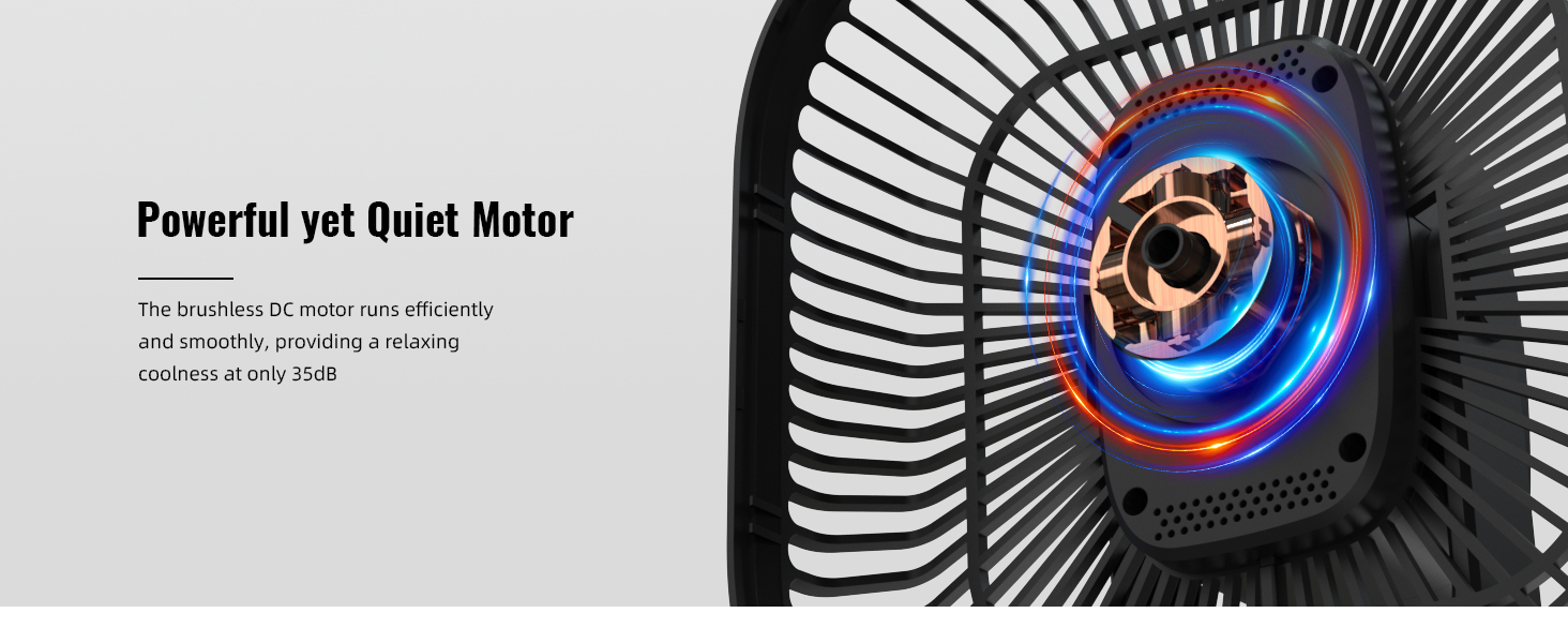 Powerful yet Quiet Motor