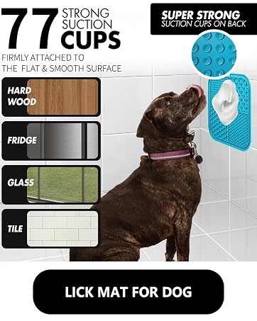 lick mat for dog