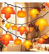 Fall Thanksgiving Harvest Decor - 20 LED Fall String Lights Plug in, 12Ft LED Autumn String Light...
