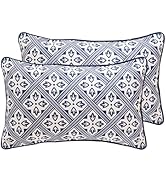 patdrea Designer Throw Pillow Covers Set of 2,Chinoiserie Blue Elegant Linen with Striped Floral ...
