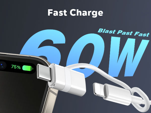usb c to lightning adapter