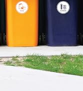 SSIGNS Brand Story At Home 4