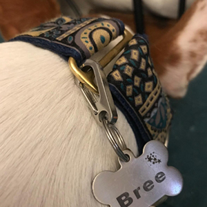 Dog clip