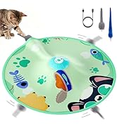 Casfuy 4 Speed Interactive Hide and Seek Cat Toy with Moving Mouse Electronic Motion Concealed Te...
