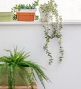 garden pots