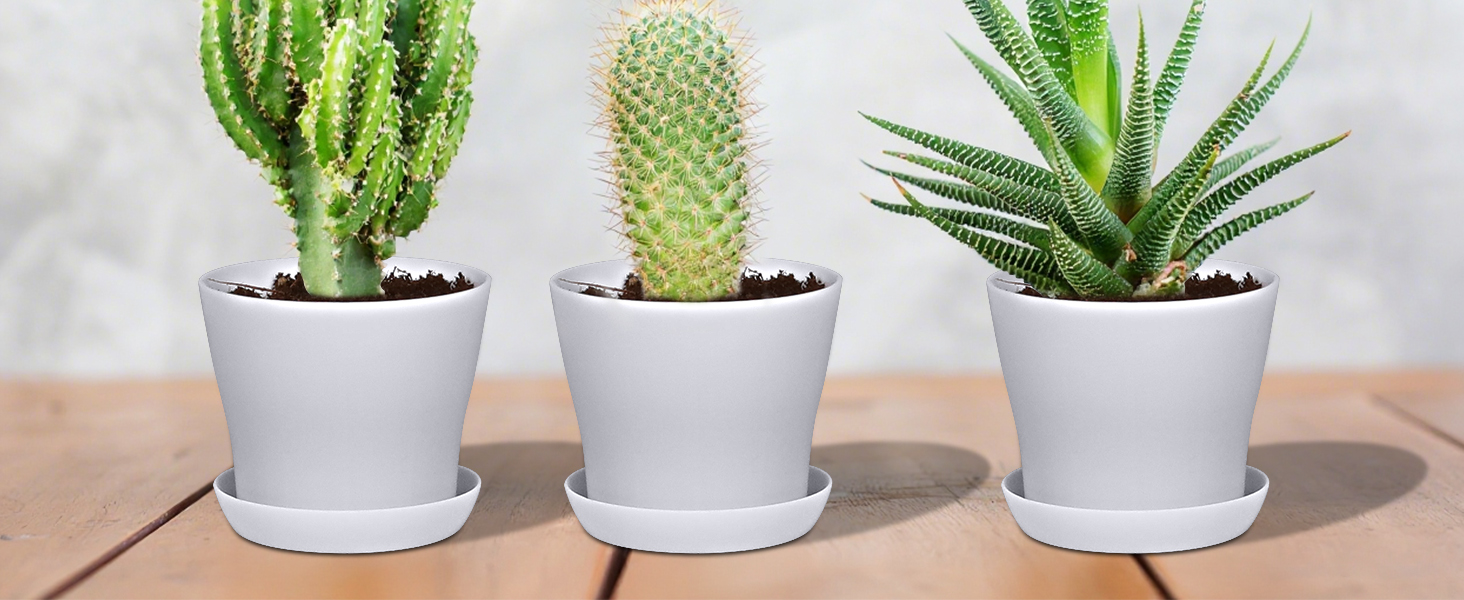pots