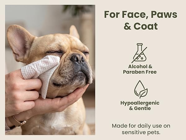 Gentle Enough For Face, Paws, & Coat