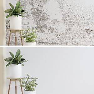 mildew