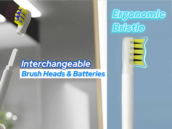interchangable brush heads and batteries
