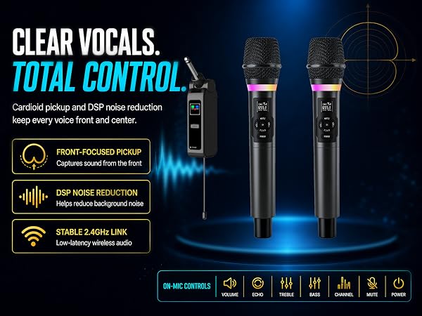 Karaoke Microphone system
