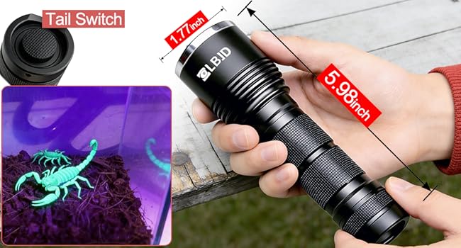 scorpion detection