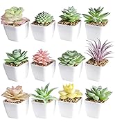 Tiita Artificial Faux Succulents in Pots Fake Plants Ceramic Arrangement Planter Small Mini Tiny ...