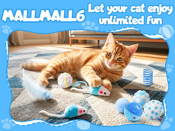 let your cat enjoy fun