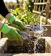 Woman gloves