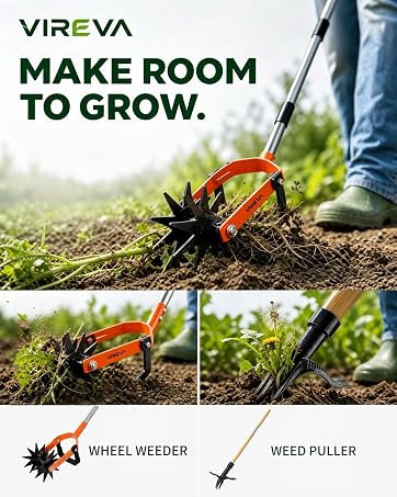 grow