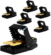 MOUSE TRAPS INDOOR FOR HOME