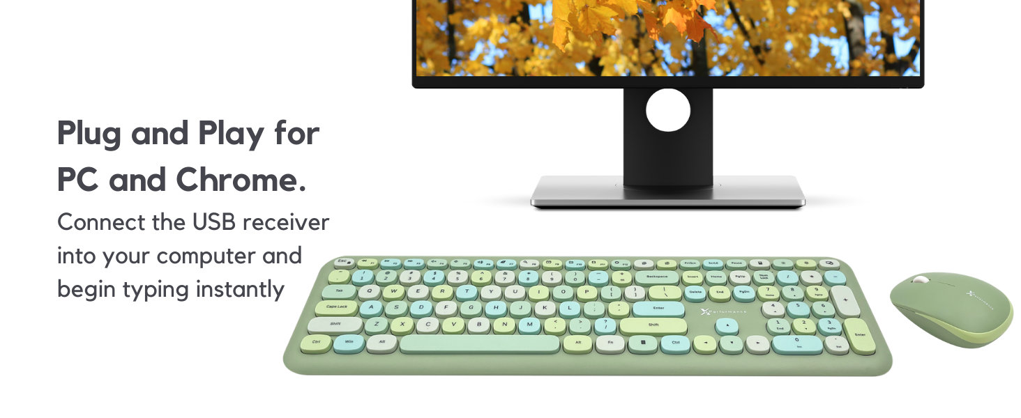 Wireless mouse and keyboard combo