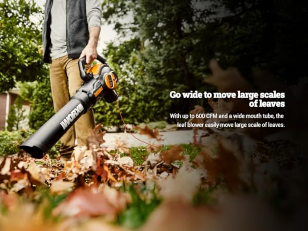 Go wide to move large scales of leaves