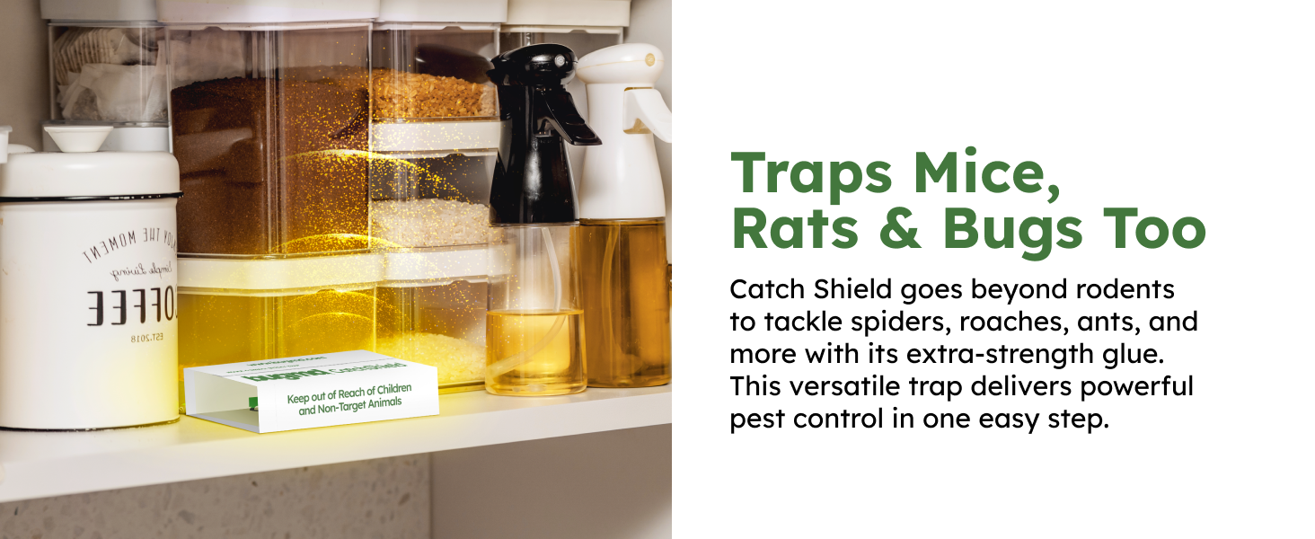 Catch Shield Traps Extra-strength glue Versatile pest control solution Simple, one-step use