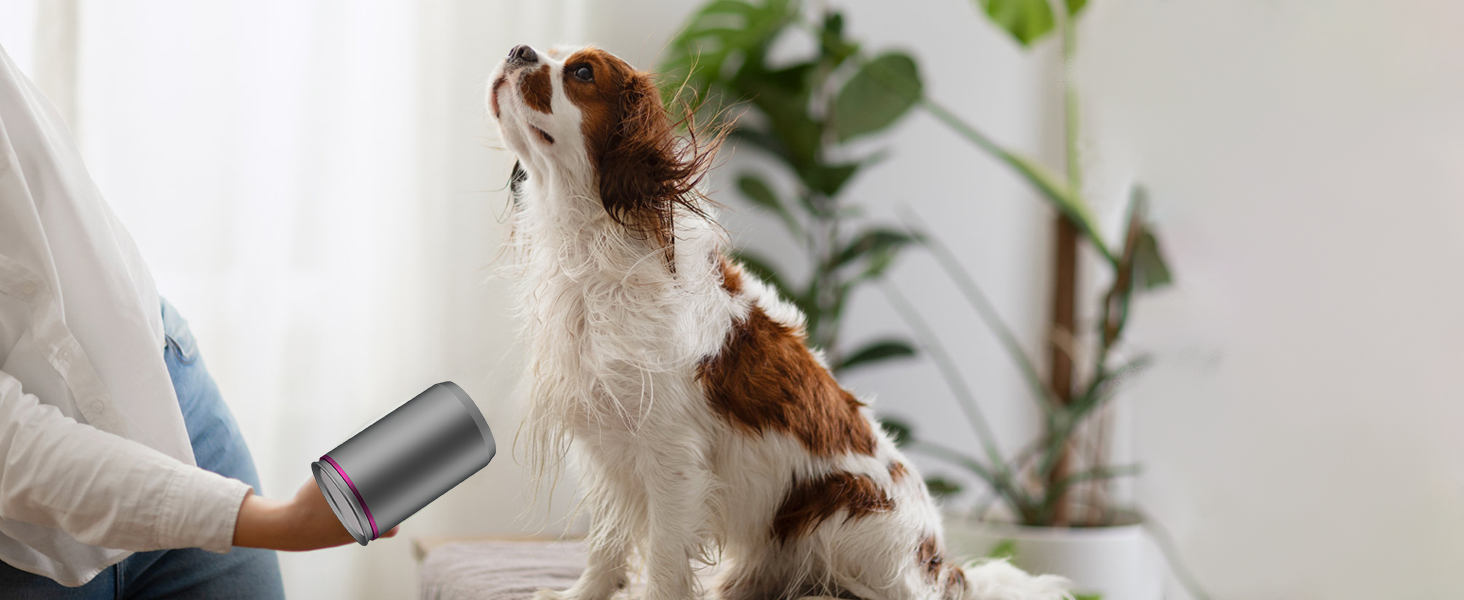 hair dryer