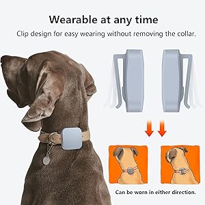 Kona Clip Vibrating Dog Trainer