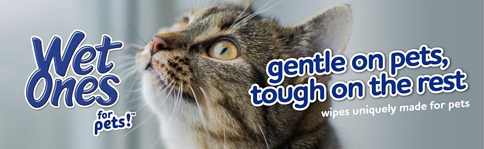 Wet Ones, Pets, Cats, Dog, Wipes, Gentle, Fresh, Puppy, Kitten, Clean, Dander Remove