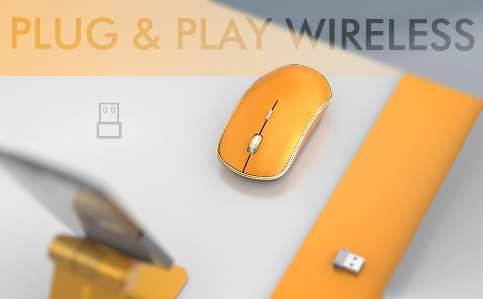 computer mouse