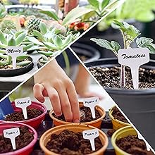 plant lables
