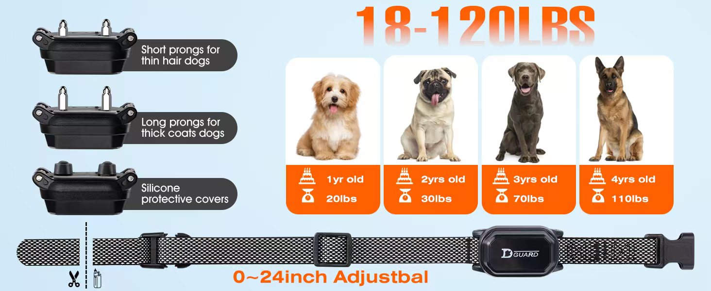 Shock Collar for Dogs