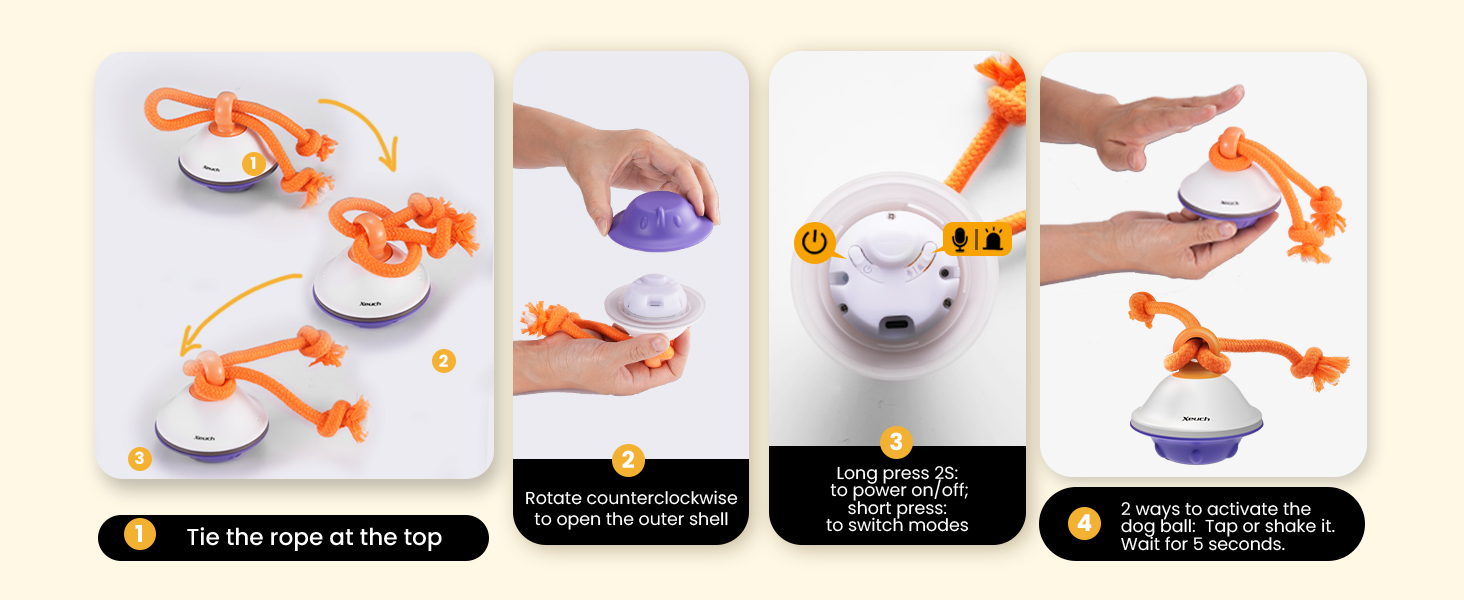 dog toy