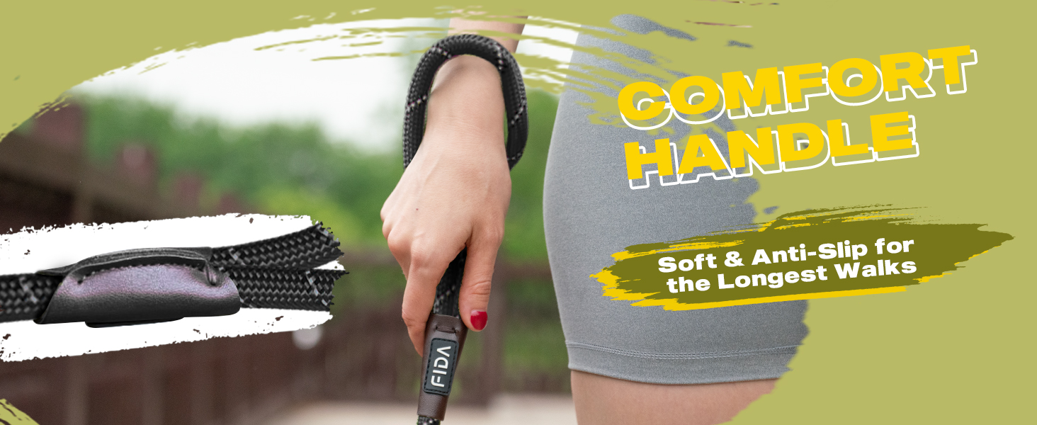 Slip Lead Dog Leash