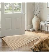 MatEssenz Front Door Mat Indoor Entrance, 2X3 ft Thin Door Mats for Inside Entry Machine Washable...