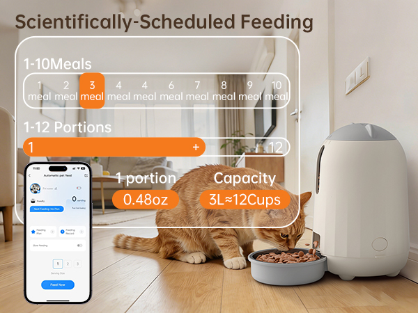 cat essentials for indoor cats dog food dispenser automatic cat food dispenser automatic