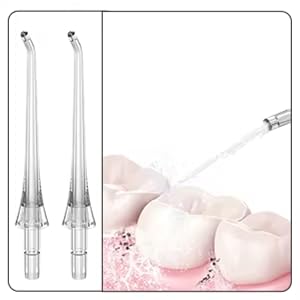 Reva Water Flosser
