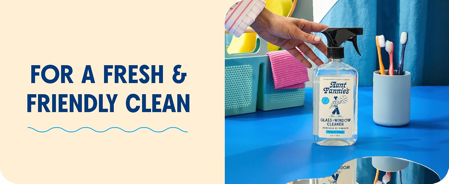 stainless steel cleaner glasses shower window car cleaning supplies windshield all purpose