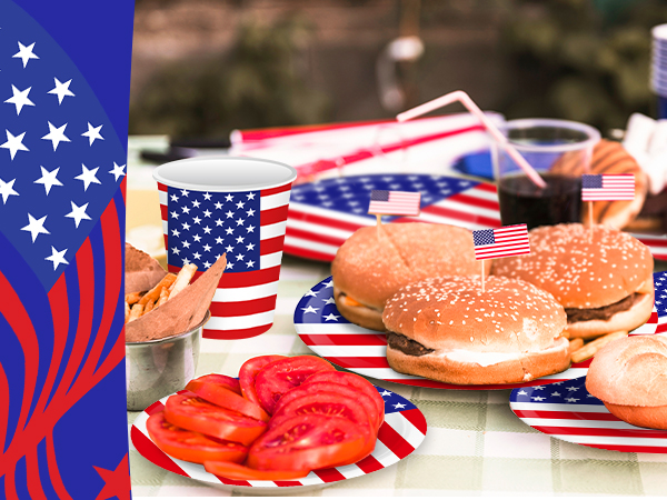 USA Flag Disposable Tableware Set