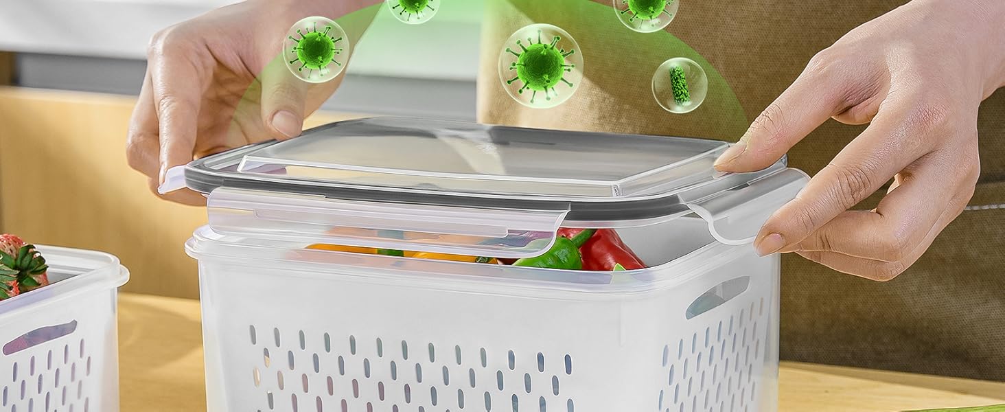 fridge containers