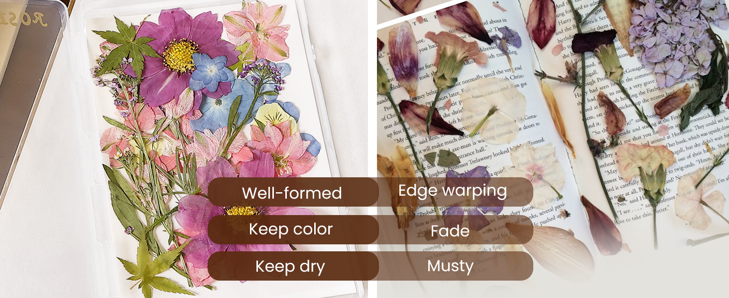 Flower Press Kit
