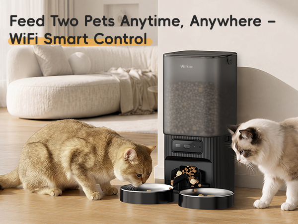 automatic cat feeder