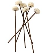 Pack of 30 Brown Rattan Reed Fragrance Diffuser and Flower Replacement Refill Rattan Sticks