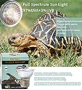 reptile light bulb