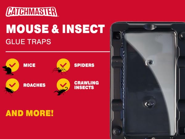 mouse and insect baited glue trap