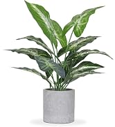 JC nateva 16" Fake Plants Taro Leaf for Shelf Bathroom Decor | Artificial plants,shelf desk bathr...