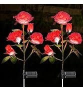SolarEra Solar Lights Outdoor Waterproof, 2 Pack Solar Flowers, 7 Colors Changing Solar Rose Ligh...