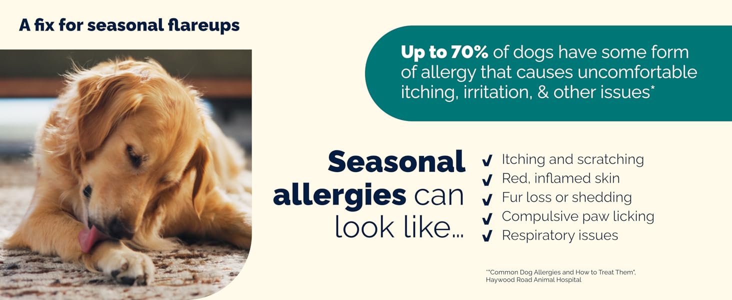 Signs of dog seasonal allergies: itching, red skin, paw licking, and fur loss