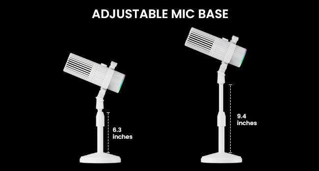 dynamic mic