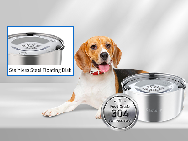 water bowl for dogs