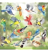 decalmile Spring Summer Birds Window Clings Double Sided Hummingbird Parrot Anti-Collision Glass ...